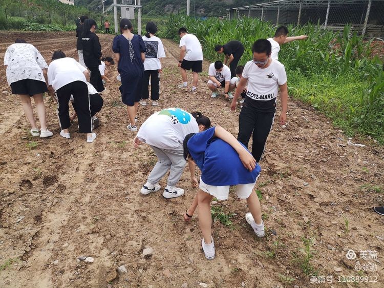 滦平县青少年活动中心  为庆祝建党100周年组织暑假班学员到校外实践基地开展“农家乐”体验活动